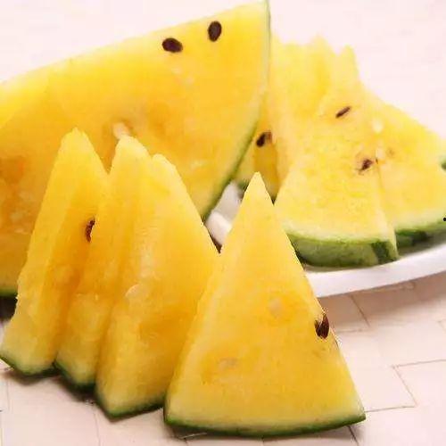 黑科吃瓜网免费观看